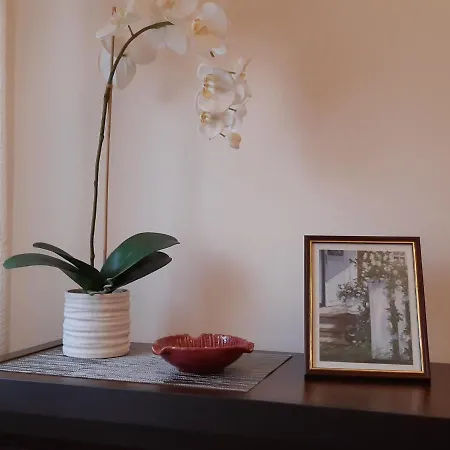 Akord Centrum With Free Parking * Parnu