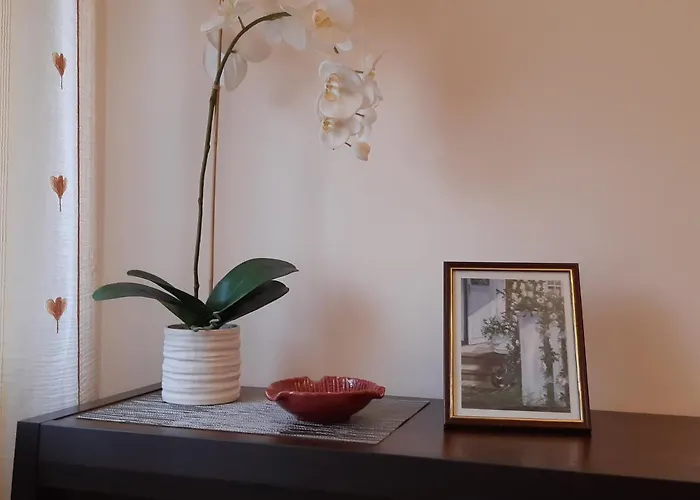 Akord Centrum With Free Parking * Pärnu